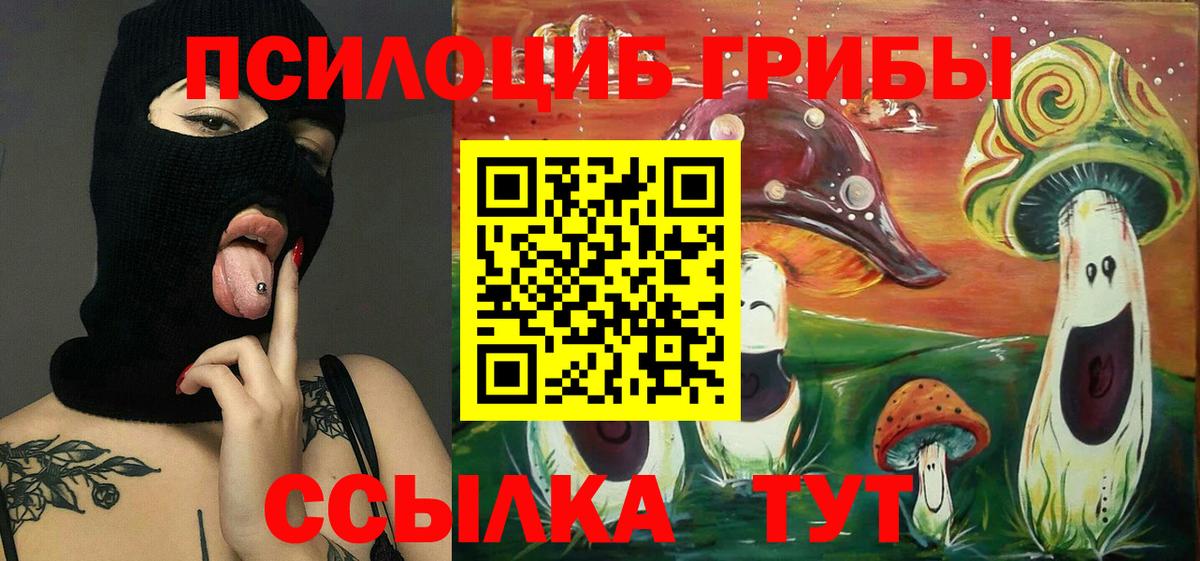 Галлюциногенные грибы MAGIC MUSHROOMS Куйбышев